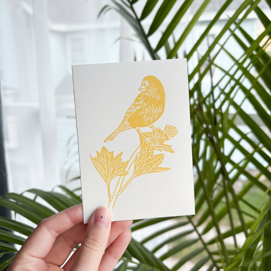 Image of American Goldfinch – Greeting Card