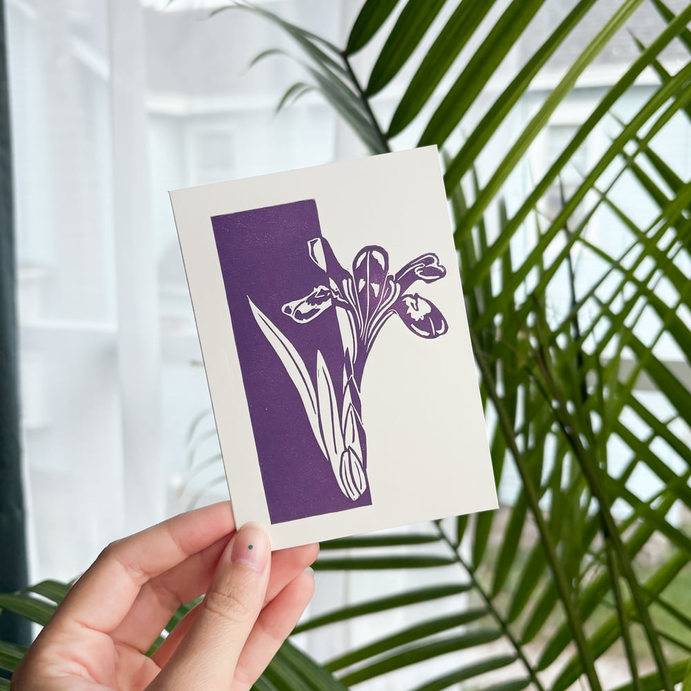 Image of Dwarf Lake Iris – Greeting Card