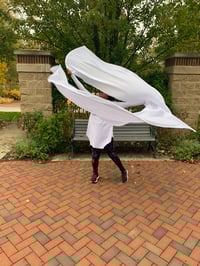 Wind of the Spirit worship flags