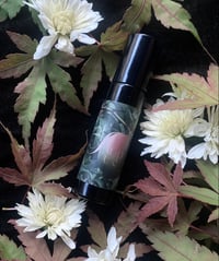 Image 2 of Jupiter Anointing Oil  (White Grapefruit, Oakmoss, Clove)