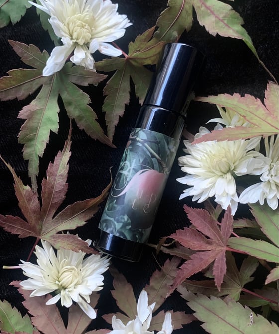 Image of Jupiter Anointing Oil  (White Grapefruit, Oakmoss, Clove)