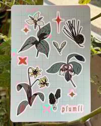 Wildflowers | Sticker Sheet