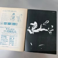 Image 14 of Underground Theater No. 12