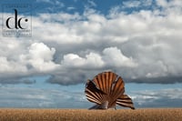 Aldeburgh  Print. The Scallop, September 2025 - Fine Art Giclée Print