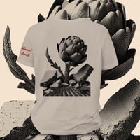 Carxofa resilient