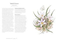 Image 3 of A Wildflower Year: A Guide to Wildflowers, their Habitats & Histories