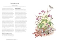 Image 4 of A Wildflower Year: A Guide to Wildflowers, their Habitats & Histories