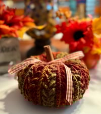 Image 4 of Medium Wheat Stitch Pumpkin/ Autumn Stripes 