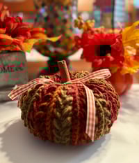 Image 2 of Medium Wheat Stitch Pumpkin/ Autumn Stripes 