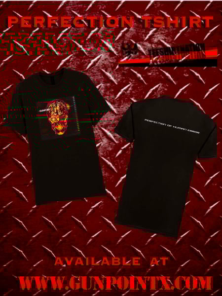 Image of Perfection Shirt