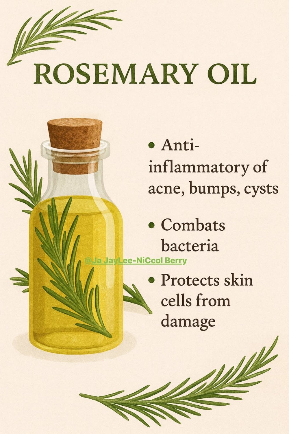 Image of Rosemary Oil for Skin & Hair Care
