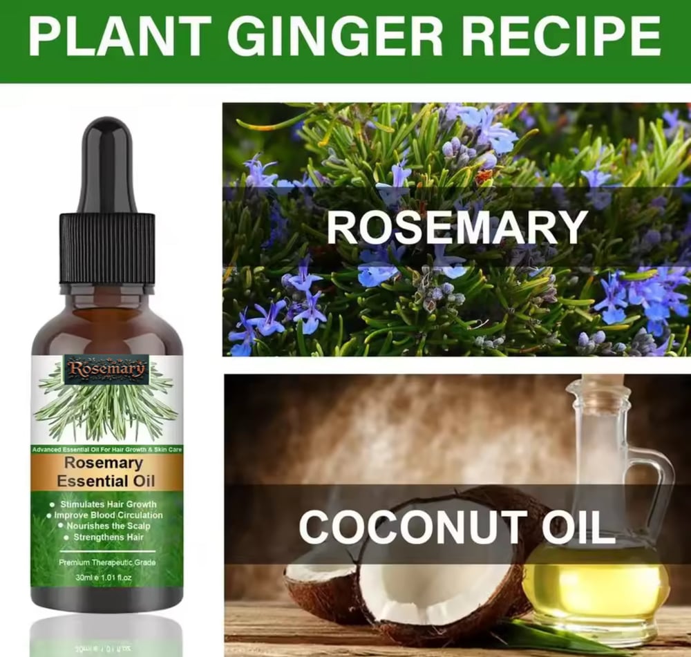 Image of Rosemary Oil for Skin & Hair Care