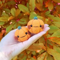 Image 1 of Small Needle Felted Pumpkins