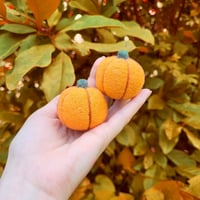 Image 3 of Small Needle Felted Pumpkins