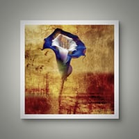 Image 2 of 'Kline Blue'