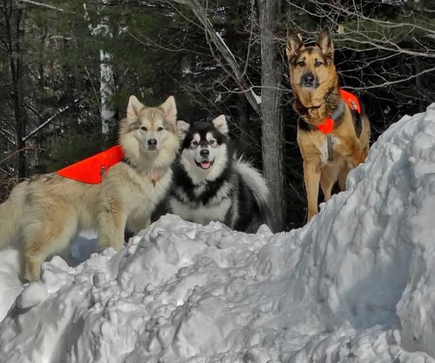 Image of In My Heart Forever (Heart Add-On)