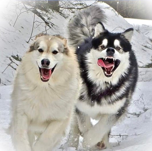 Image of In My Heart Forever (Heart Add-On)