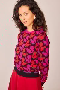 Image 1 of Jersey ardillas