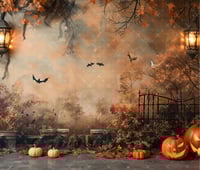 MY LITTLE HALLOWEEN MINI SESSION SUNDAY OCTOBER 5TH