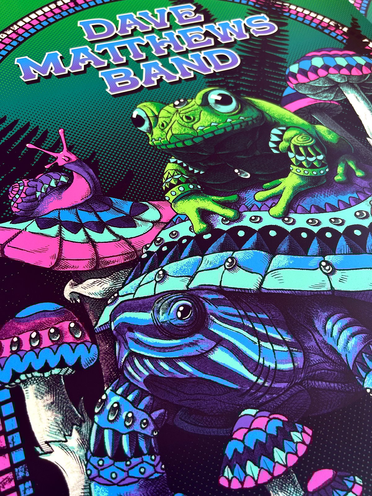 F4D Studios — Dave Matthews Band Gorge Posters