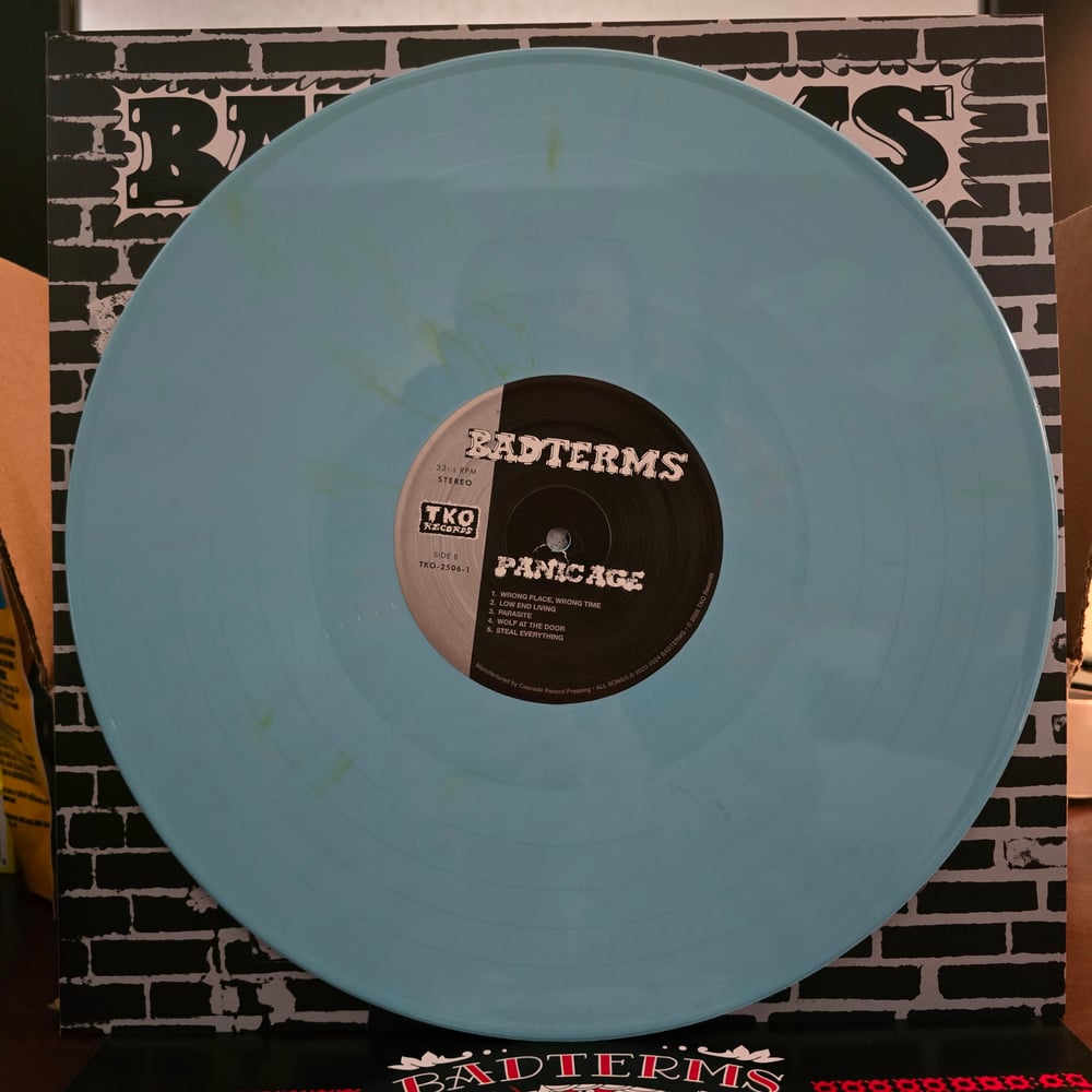 Badterms - Panic Age