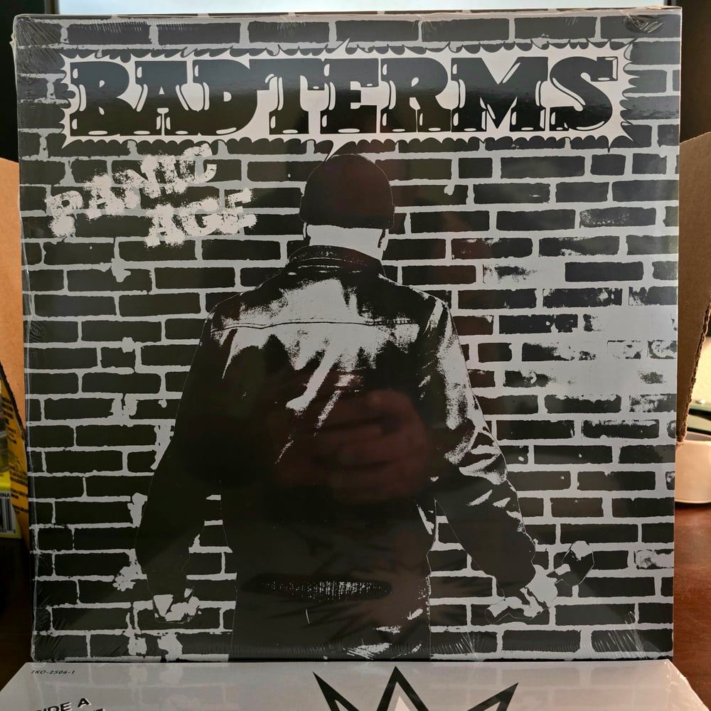 Badterms - Panic Age