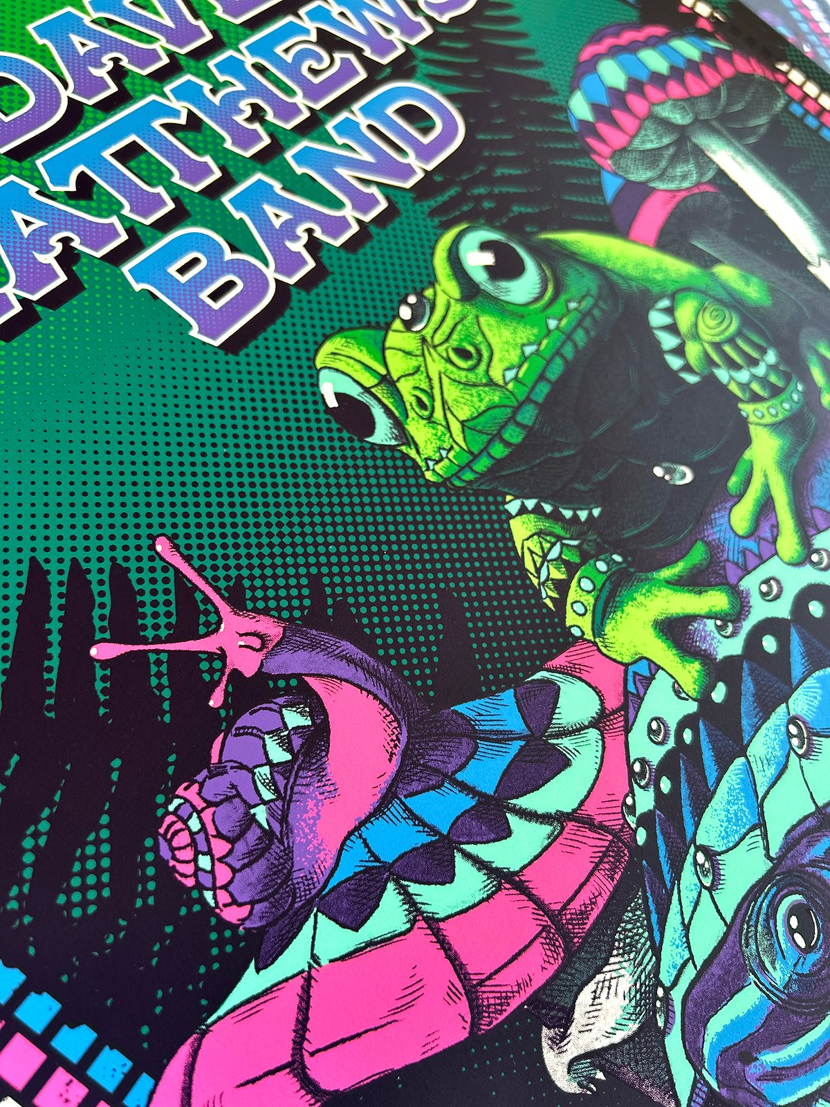 F4D Studios — Dave Matthews Band Gorge Posters