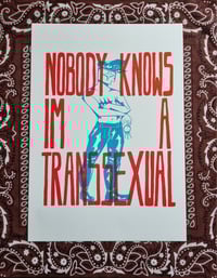 Image 1 of NOBODY KNOWS IM A TRANSSEXUAL 