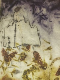 Image 5 of The Language of Leaves : From root to thread (2)