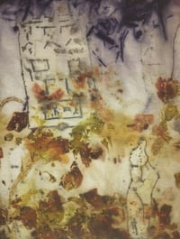 Image 2 of The Language of Leaves : From root to thread (2)