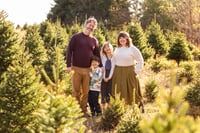 November 1 – Tree Farm Minis