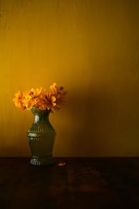 Bright Lights Cosmos 