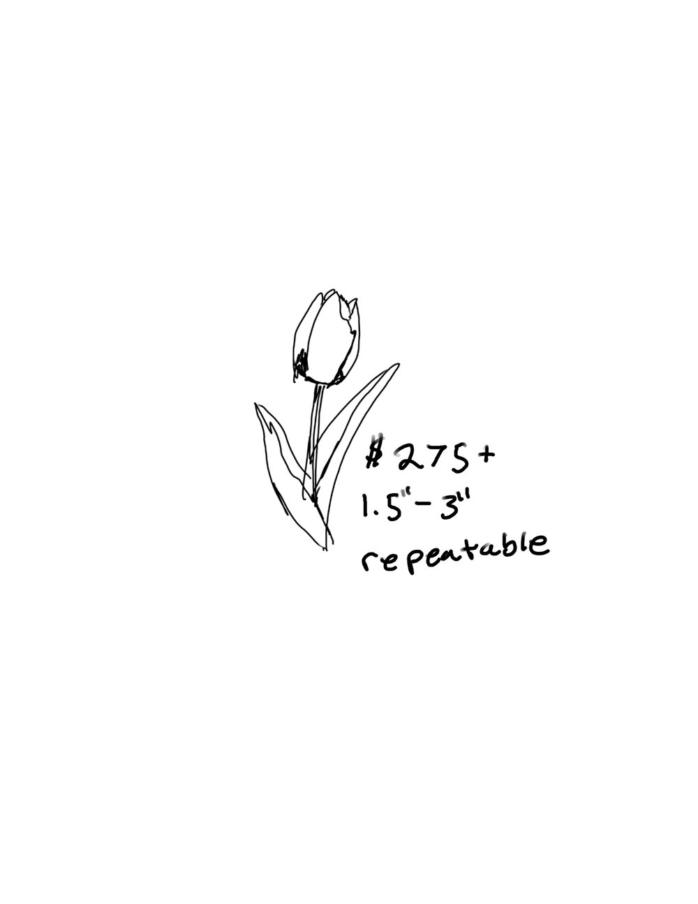 Image of Tulip Sketch