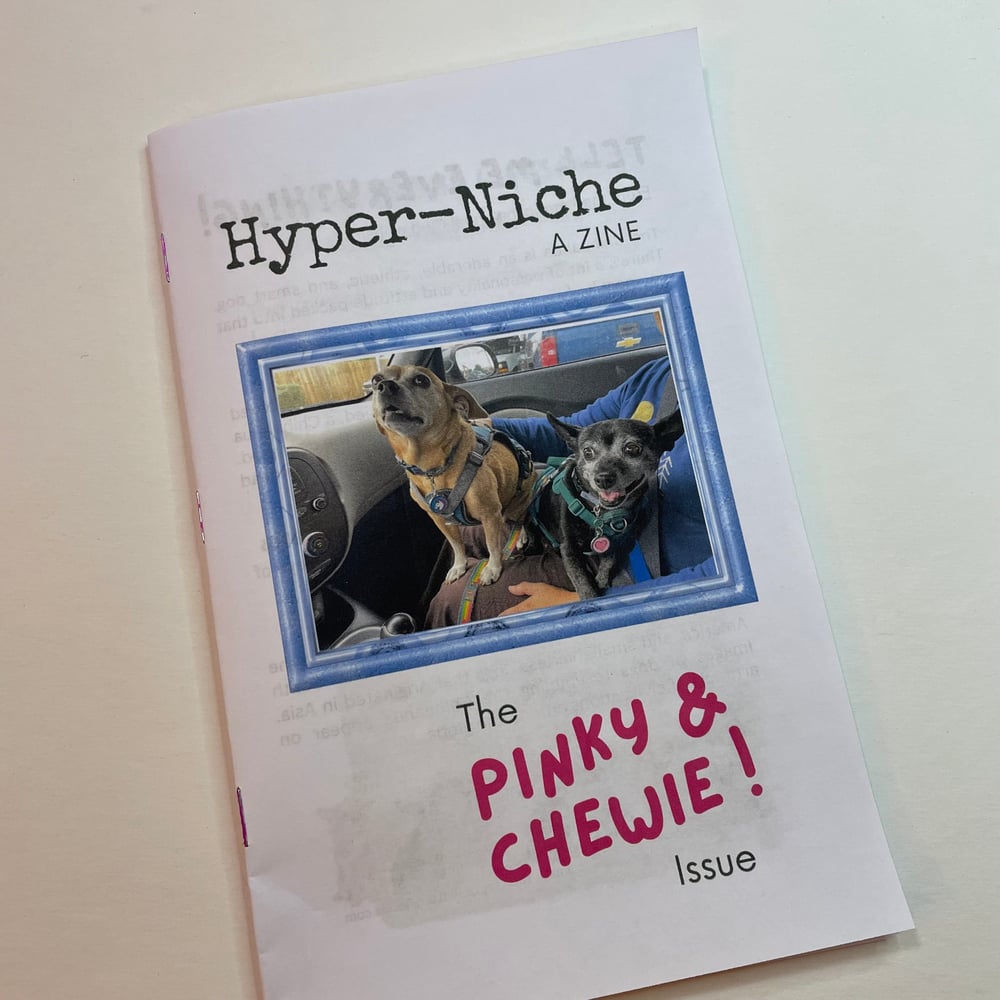 Image of Zine - Hyper Niche: Issue 1