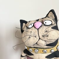 Image 3 of Cat in Silver studded Collar