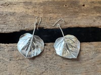 Image 3 of Aspen Leaves