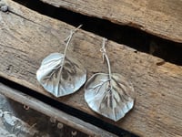 Image 5 of Aspen Leaves