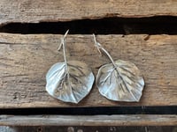 Image 1 of Aspen Leaves