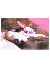 Image 2 of Surfers III