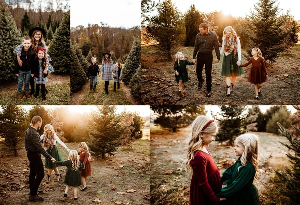 Image of Holiday mini session 
