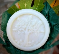 Image 5 of Maple Syrup & Tallow Soap (all natural)