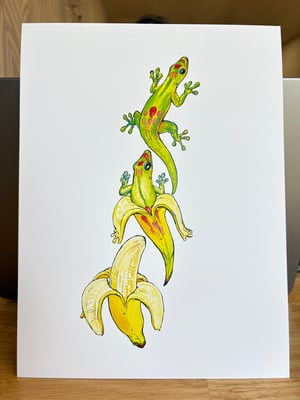 Image of Gecko-Nana laserprint