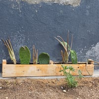 Windowsill or Side Yard Planter