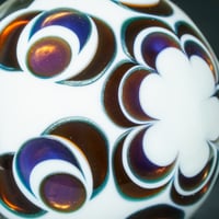 Image 7 of Phoenixia