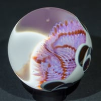 Image 3 of Phoenixia