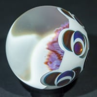 Image 4 of Phoenixia