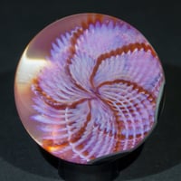 Image 2 of Phoenixia