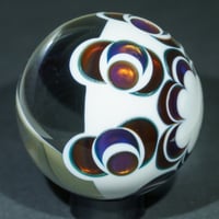 Image 5 of Phoenixia