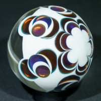 Image 6 of Phoenixia