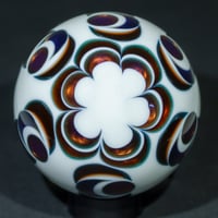 Image 8 of Phoenixia